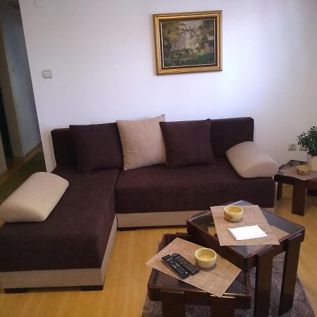 Apartment Vojinovic Аранделовац Экстерьер фото
